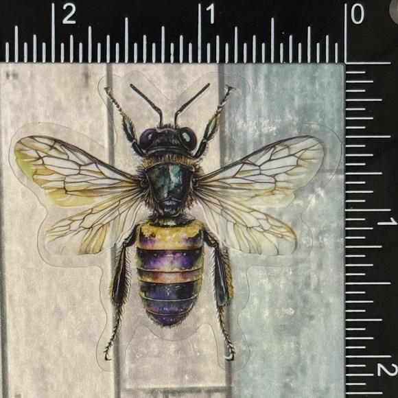 🌀10/$10🌀 Translucent Moth Dragonfly Beetle Reusable Waterproof Sticker Decal - Picture 1 of 1